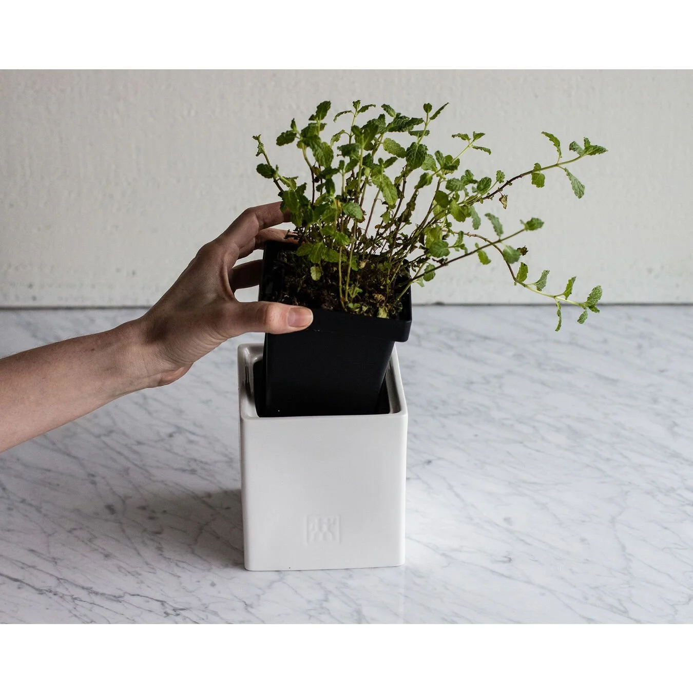 Zwilling Barattolo - Ceramica 2 Zwilling Barattolo - Ceramica - immagine 2