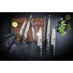 Zwilling Coltello Da Carne Liscio - 23 Cm, Marrone -Coltelli 750046856